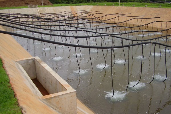 Sistema de aeração por ar difuso tipo tubo removível flutuante 1